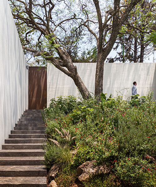 manuel cervantes estudio realizes white ceramic house with jacaranda garden in mexico