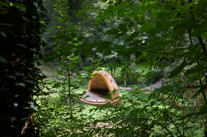 matthijs la roi architects builds a cedar-clad 'rain amplifier' in a belgian forest