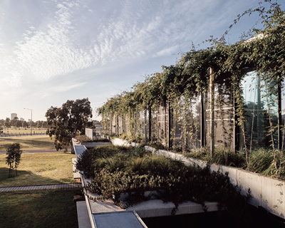 harrison & white and archier hybridize workspace with landscape for 'parks victoria' project in australia