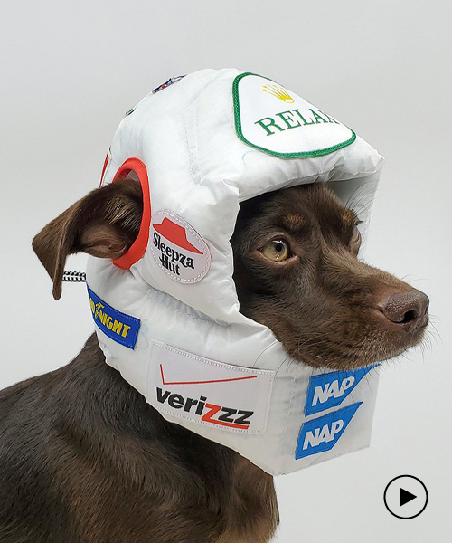 rajeev basu makes luxury padded helmets for dogs to sleep in