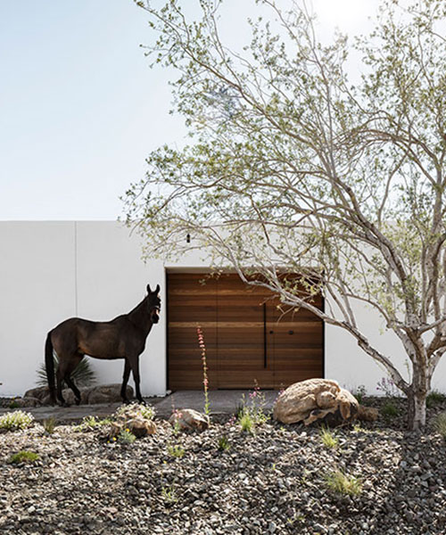 the ranch mine transforms neglected horse farm into secluded respite in arizona