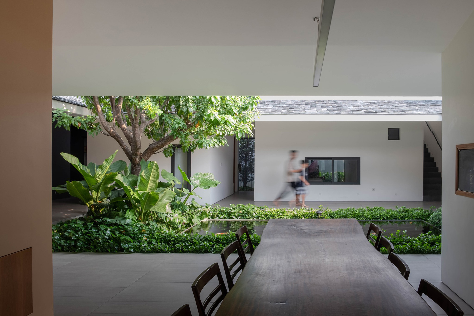 TAA design develops house in vietnam around central, tree-planted courtyard