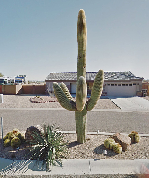 woman with agoraphobia uses google street view to travel to the most remote places