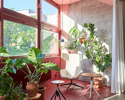 accents of pink and hanging plants decorate coordination berlin's office in germany