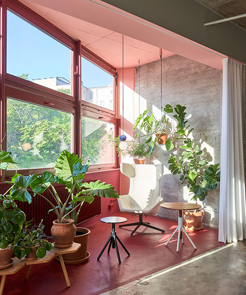 accents of pink and hanging plants decorate coordination berlin's office in germany