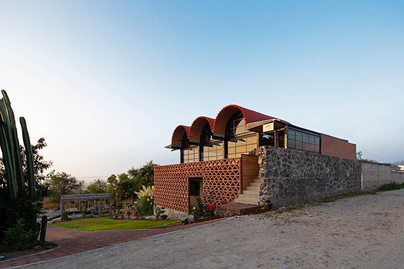 aldana sánchez hñähñu