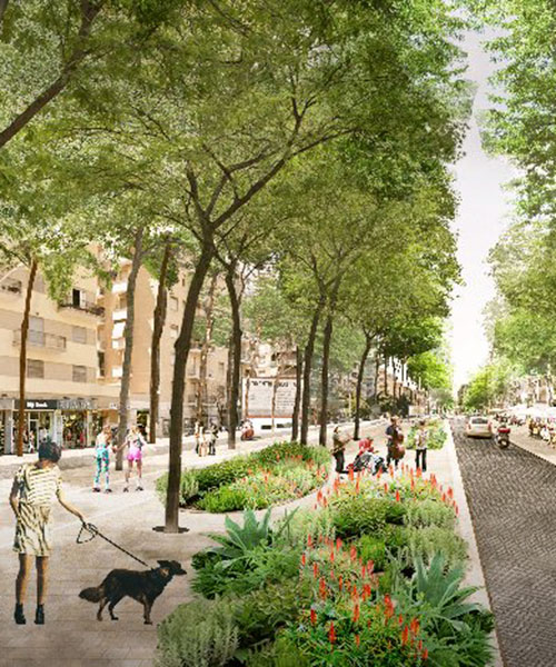 bureau B+B proposes planting 3 million trees to rejuvenate the city of rome