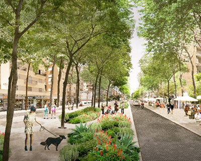 bureau B+B proposes planting 3 million trees to rejuvenate the city of rome