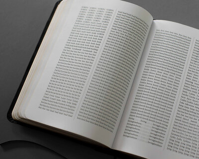 sideline collective has rearranged the entire bible into alphabetical order