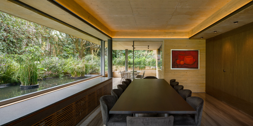 estudio MMX shapes CBC house in mexico city as a continuous garden