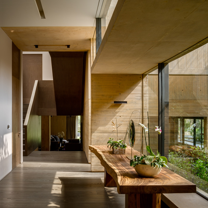 estudio MMX shapes CBC house in mexico city as a continuous garden