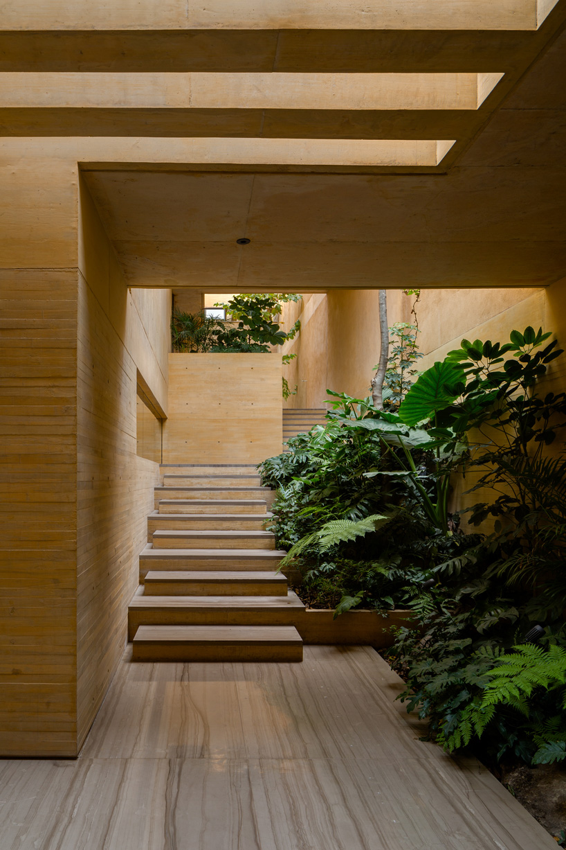 estudio MMX shapes CBC house in mexico city as a continuous garden