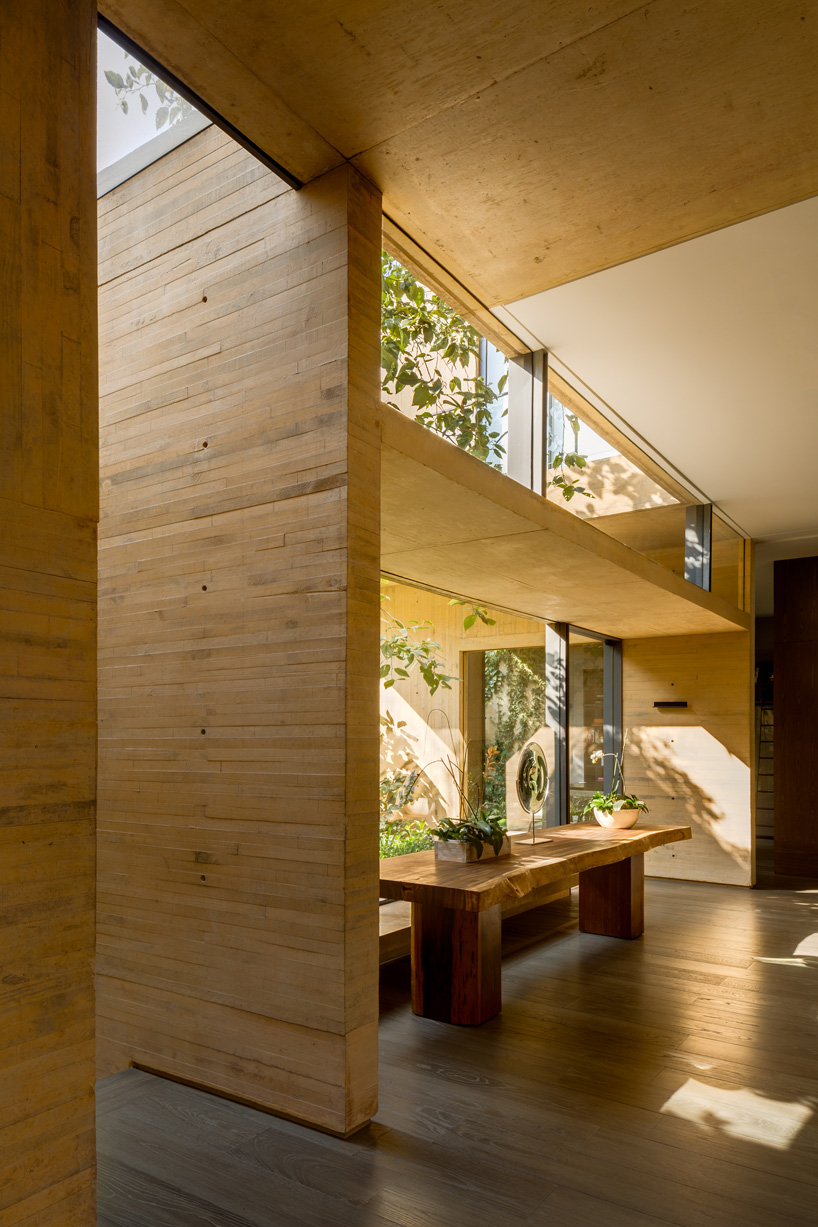 estudio MMX shapes CBC house in mexico city as a continuous garden