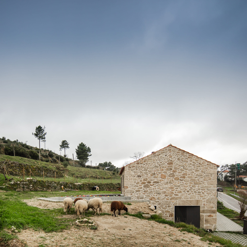 filipe pina arquitectura completes restoration of gafanha house in portugal designboom