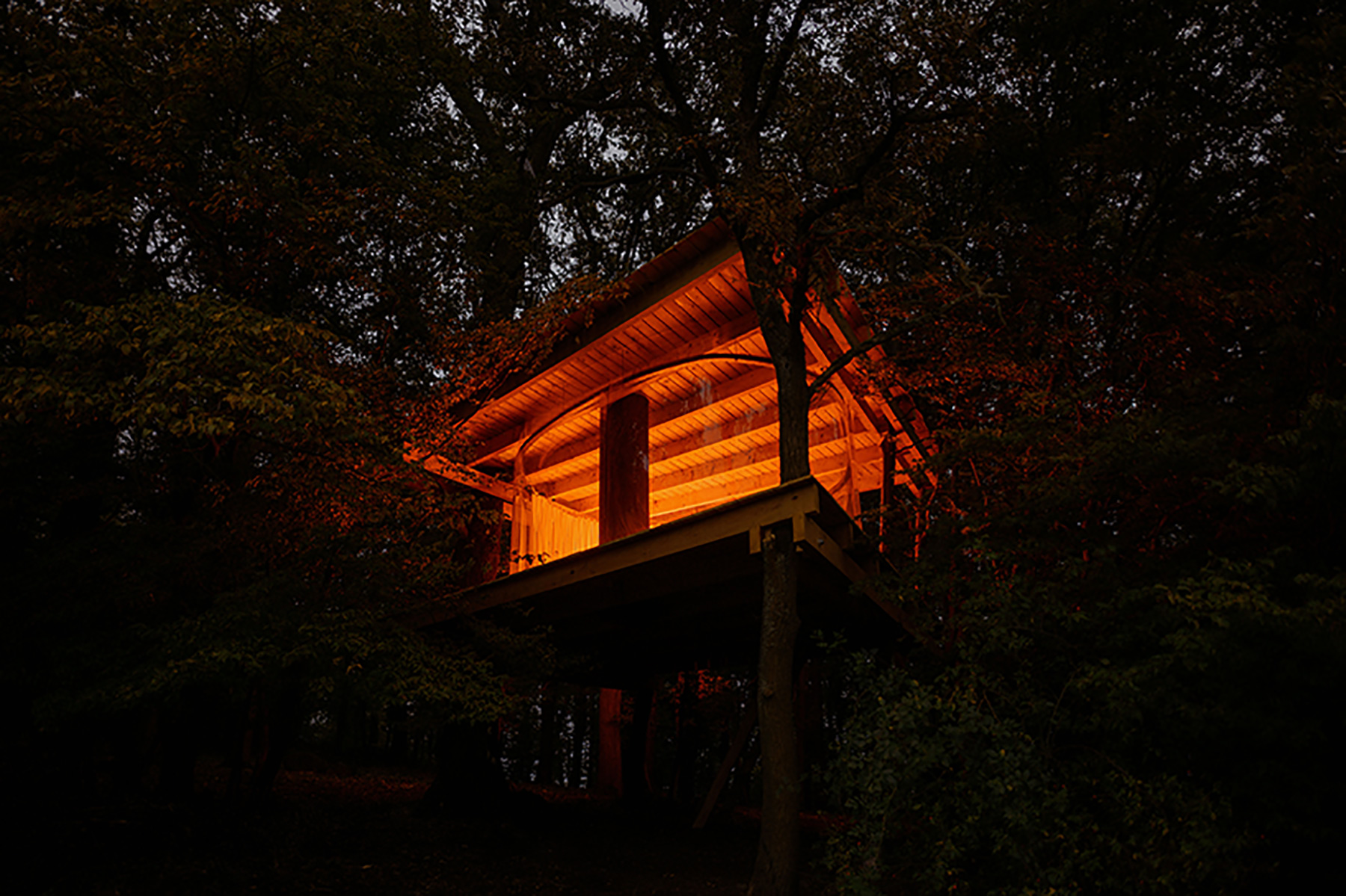 jan-tyrpekl-treehouse-designboom-009a