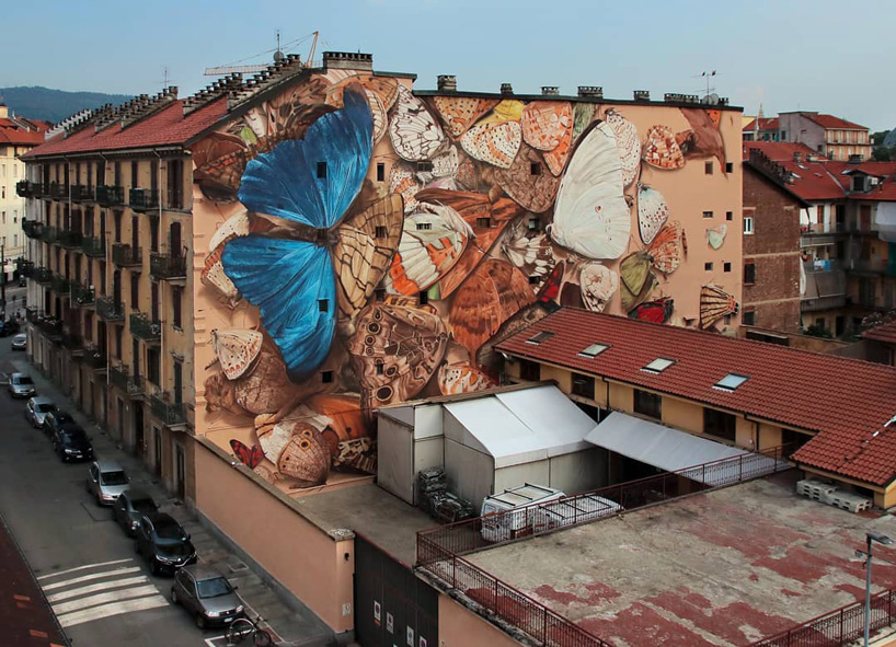 mantra's trompe l’oeil murals transform buildings into larger-than-life butterfly display cases