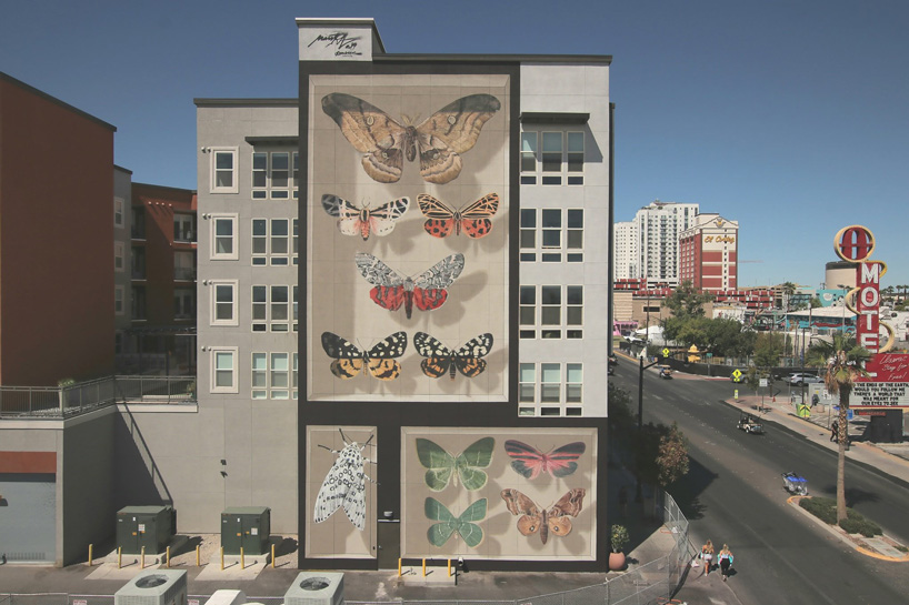 mantra's trompe l’oeil murals transform buildings into larger-than-life butterfly display cases