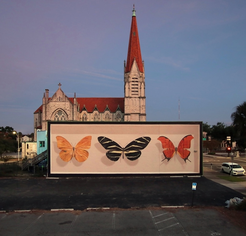 mantra's trompe l’oeil murals transform buildings into larger-than-life butterfly display cases
