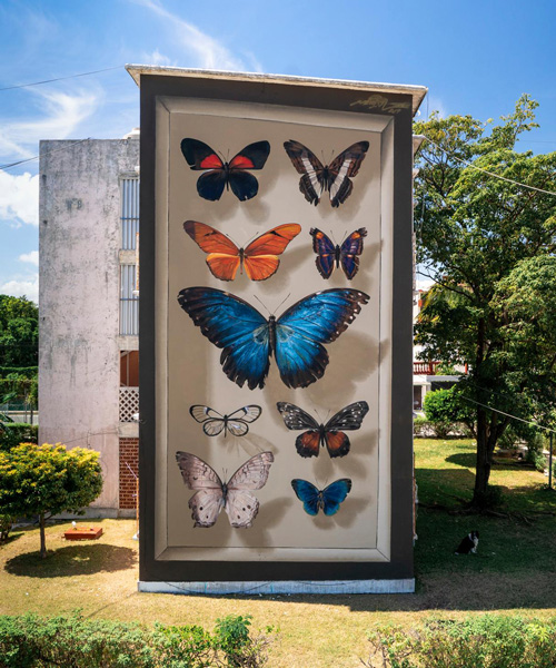mantra's trompe l’oeil murals transform buildings into larger-than-life butterfly display cases