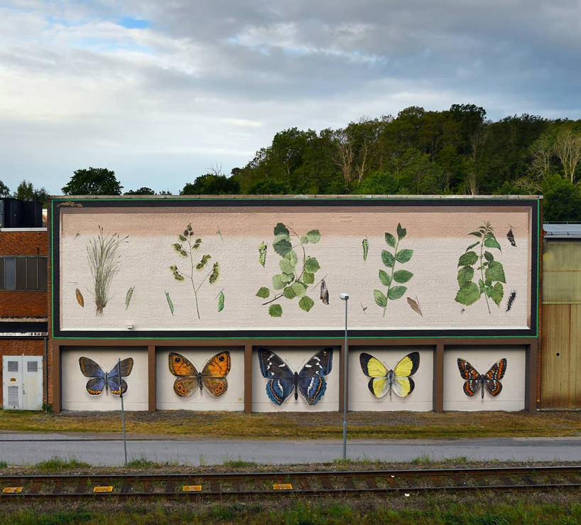 mantra's trompe l’oeil murals transform buildings into larger-than-life butterfly display cases