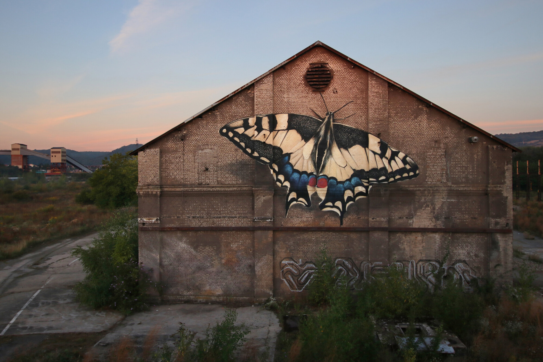 mantra's trompe l’oeil murals transform buildings into larger-than-life butterfly display cases