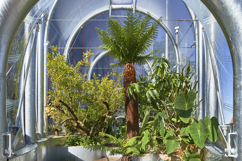 inside studio weave's tiny greenhouse in london
