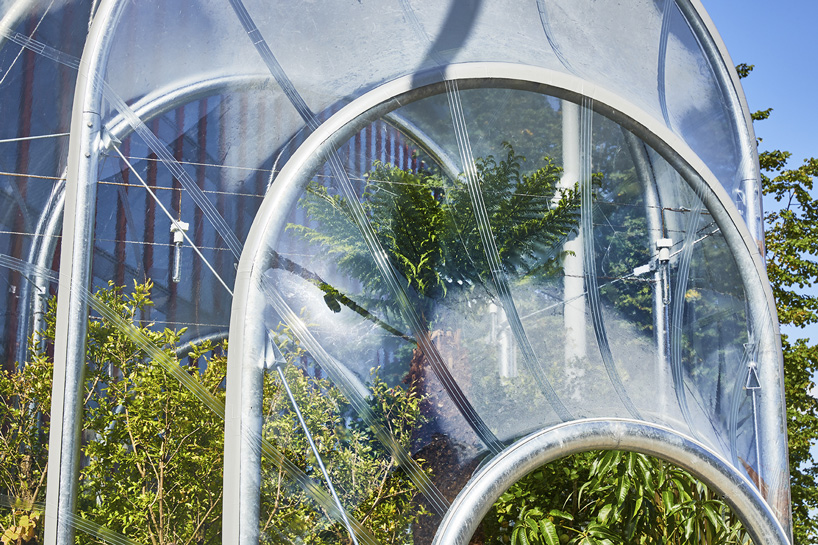 exterior view of studio weave's tiny greenhouse in london