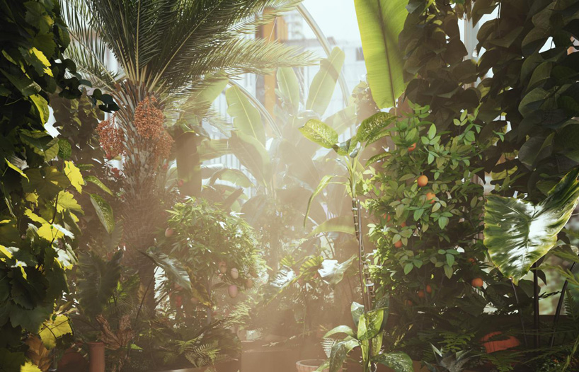an edible jungle of tropical species grows within studio weave's tiny greenhouse in london