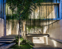 open courtyards with lush greenery complete MIA design studio's concrete house in vietnam