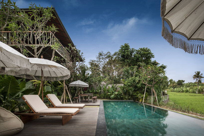 alexis dornier's stilt studios elevates prefab 'treehouse C' off the ground in bali