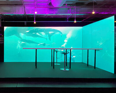 ASB glassfloor's digital wallpaper turns any space into a HD screen