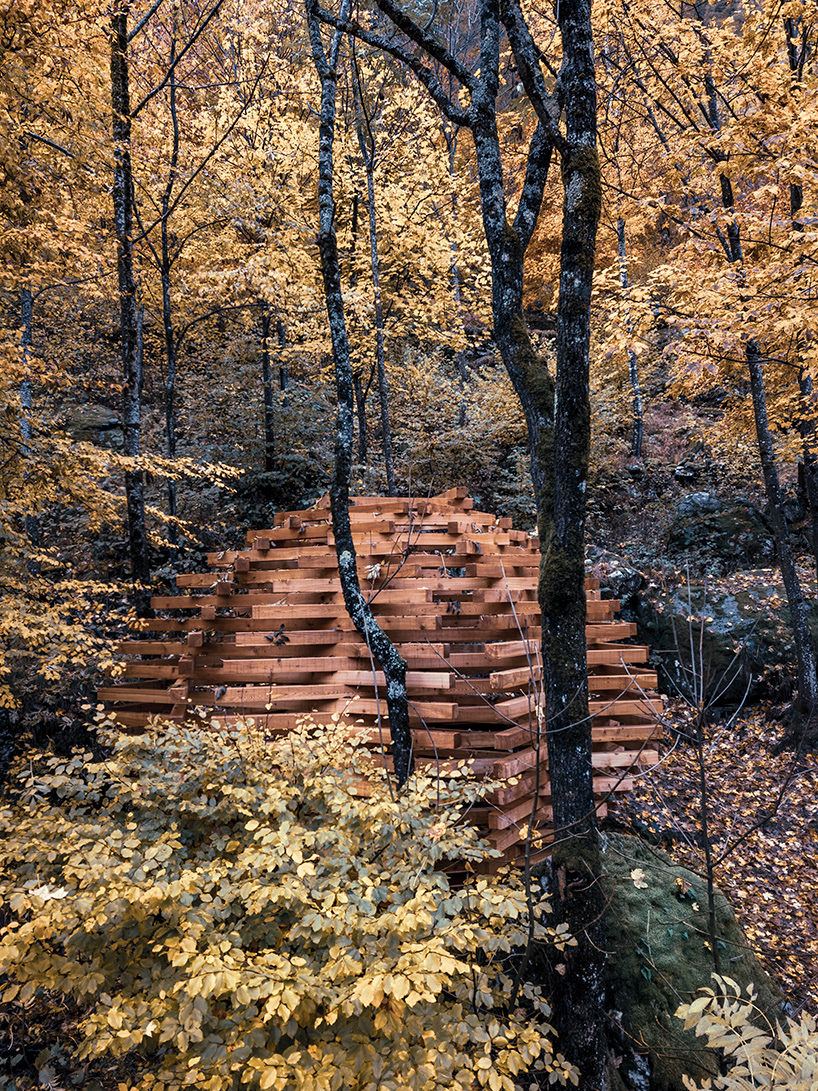 davide macullo plants timber 'Ispace' installation in the forests of a swiss village