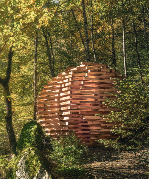 davide macullo plants timber 'Ispace' installation in the forests of a swiss village