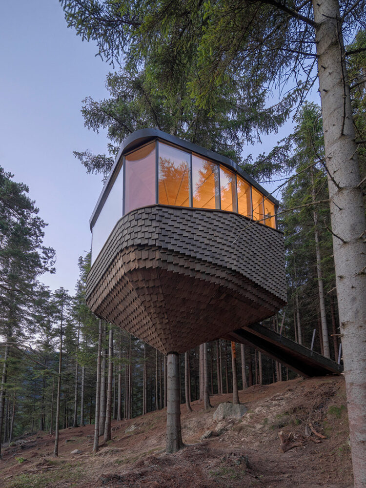 helen & hard fastens woodnest treehouse to living pine tree in norway