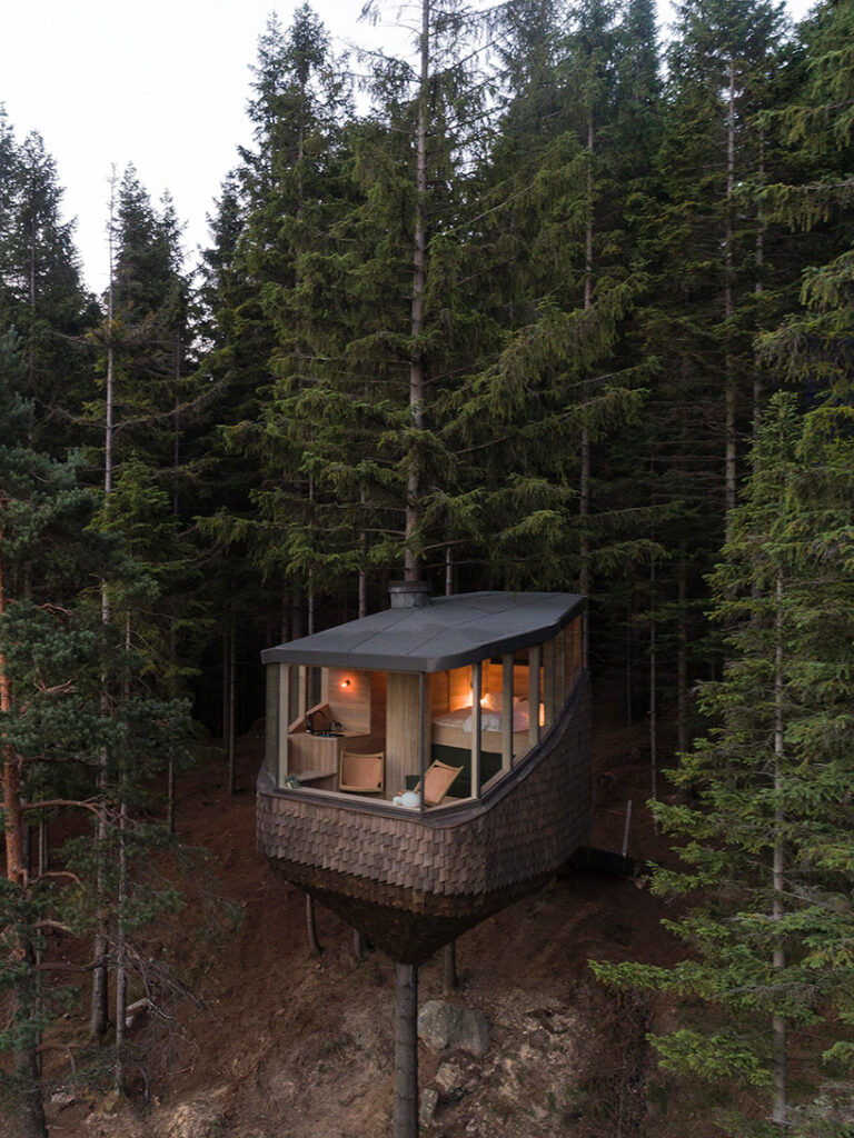 helen & hard fastens woodnest treehouse to living pine tree in norway