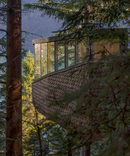 helen & hard fastens woodnest treehouse to living pine tree in norway