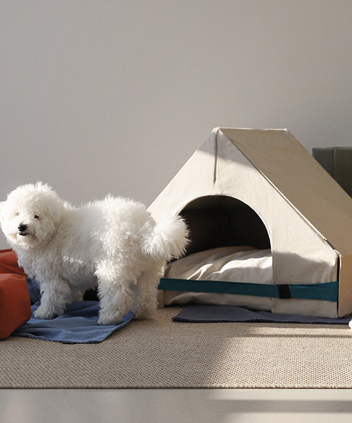 this modular house for dogs can be customized according to your pet's personality