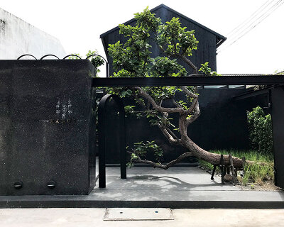 PDA puredesigns associate incorporates large trees into 'kamut house' cafe design in thailand