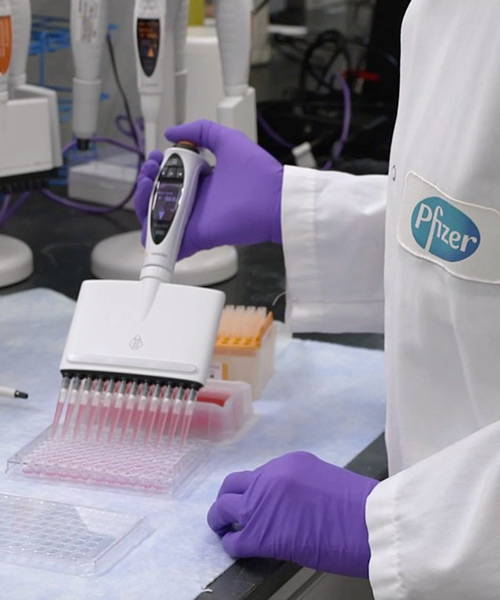 breaking news: pfizer and BioNTech say its vaccine is 90% effective in preventing COVID-19