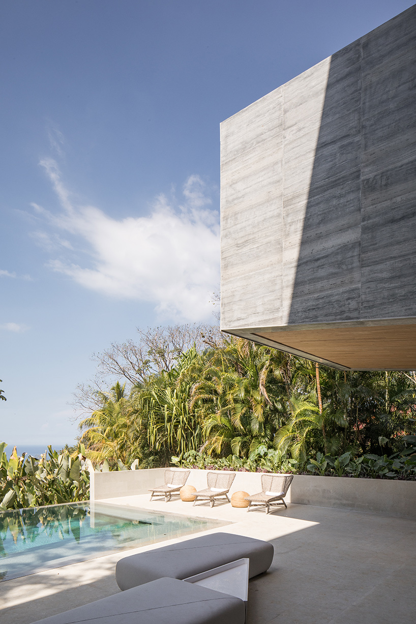 atrium house studio saxe