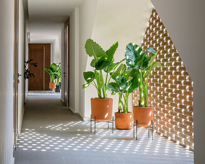 taller dea revises 'privada' residential typology to design modern housing complex in mexico