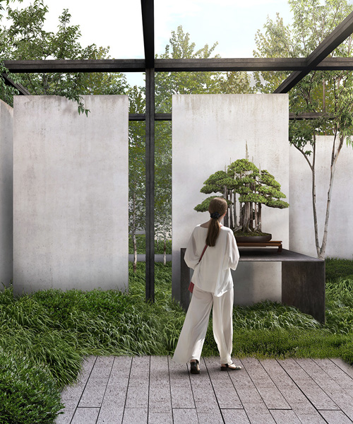 trahan architects + reed hilderbrand plan national bonsai + penjing museum in the US