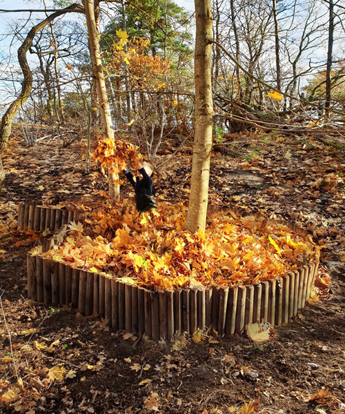 'leaf pools' by ulf mejergren architects celebrate the colors of fall