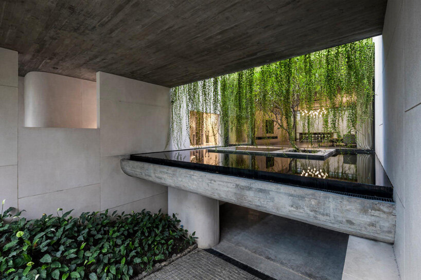 open courtyards with lush greenery complete MIA design studio's concrete house in vietnam