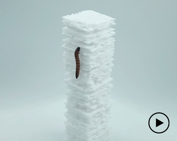 worm skyscraper by yong ju lee proposes a solution to polystyrene waste