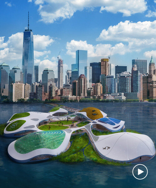 3deluxe envisions floating campus complete with a natural biotope for manhattan