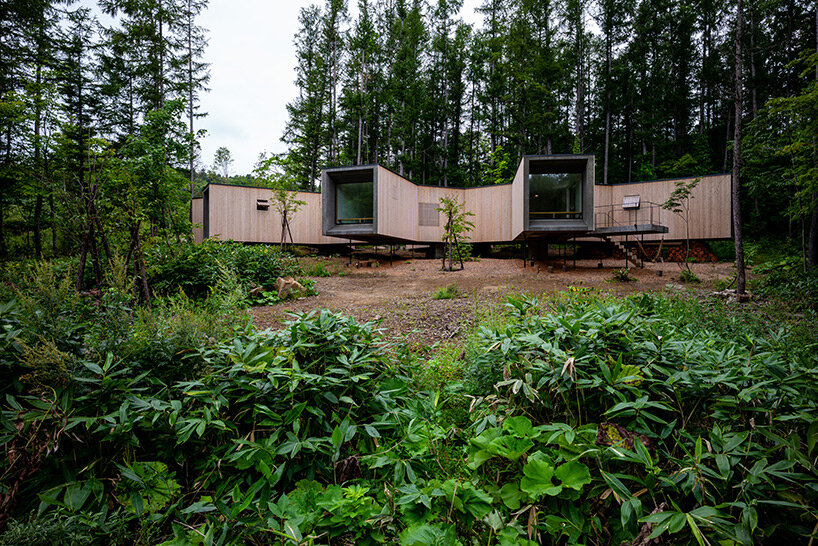 'house in the forest' by florian busch architects is a remote retreat in the woods of hokkaido