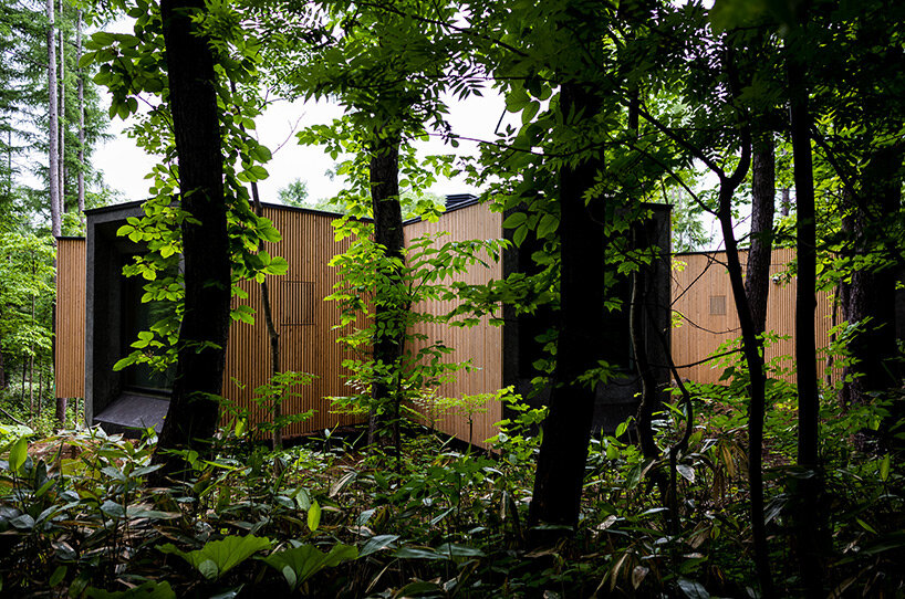'house in the forest' by florian busch architects is a remote retreat in the woods of hokkaido