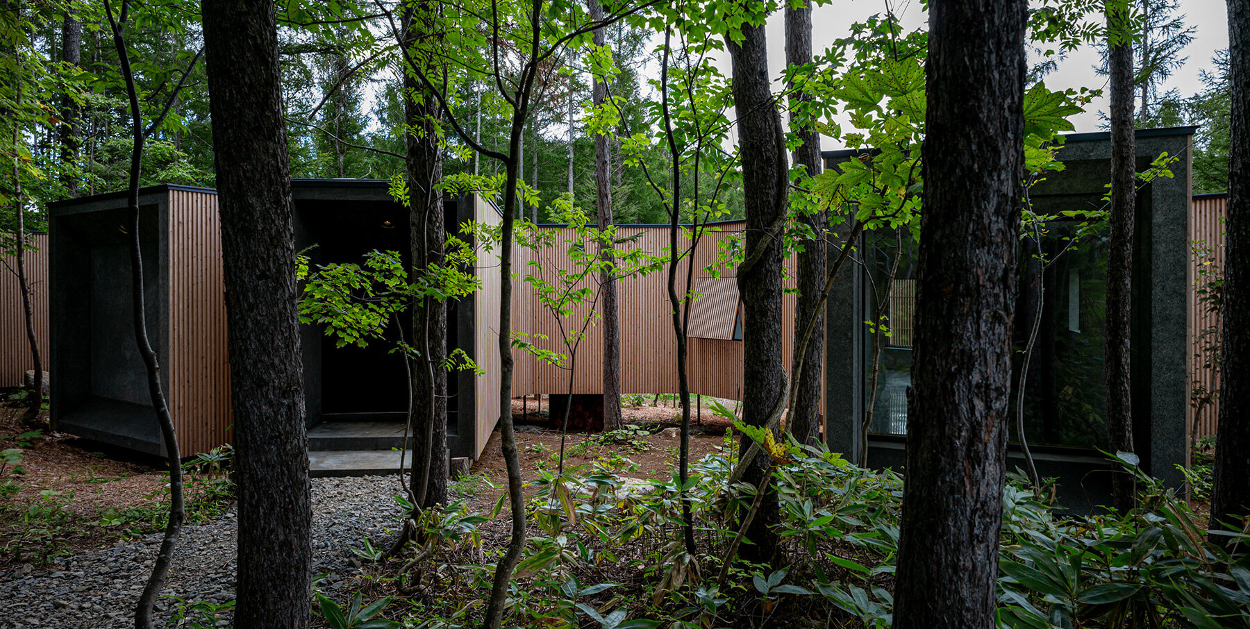 florian-busch-house-in-the-forest-hokkaido-japan-designboom-06X