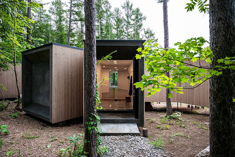 'house in the forest' by florian busch architects is a remote retreat in the woods of hokkaido